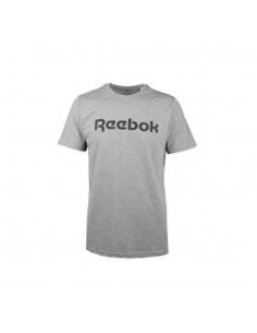 Camiseta REEBOK GS REEBOK LINEAR READ TEE 100038780 Gris