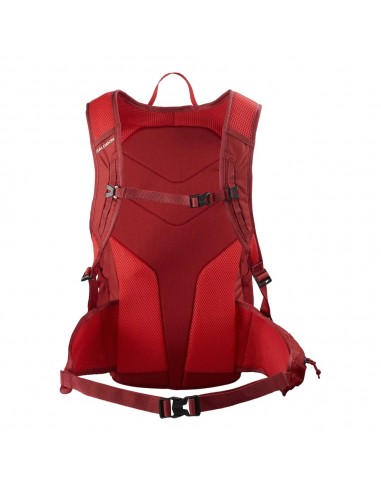 SALOMON-TRAILBLAZER 20 AURA ORANGE/Biking Red