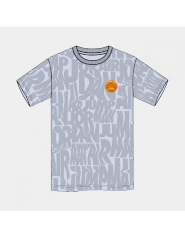 Camiseta NIKE JDB FUEL UP COOL DOWN DROPS SS 95D151 G7H Gris