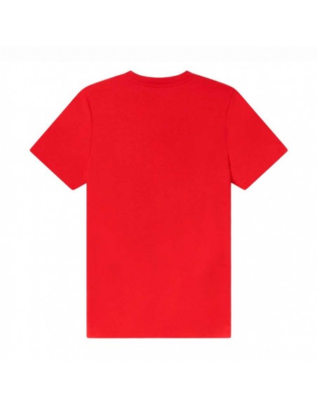 CAMISETA PUMA GRAPHIC TEE B  FOR ALL TIME