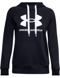 UNDER ARMOUR  FLEECE LOGO HOODIE 2