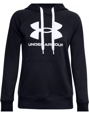 UNDER ARMOUR  FLEECE LOGO HOODIE