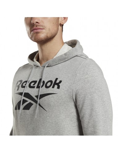 Sudadera REEBOK RI FT BIG LOGO OTH HZ8786 Gris