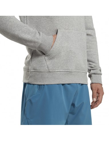 Sudadera REEBOK RI FT BIG LOGO OTH HZ8786 Gris