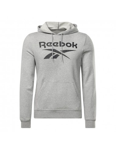 Sudadera REEBOK RI FT BIG LOGO OTH HZ8786 Gris
