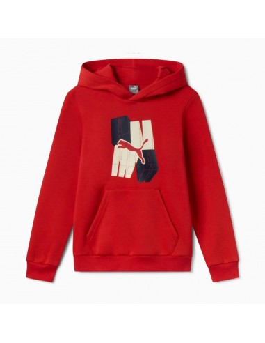 PUMA ESS+ GRAPHIC Hoodie FL B - red