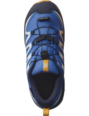 SALOMON-SHOES XA PRO V8 CSWP J Palace Blue/Navy