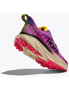 Zapatilla para Trail Running para MUJER HOKA ONE ONE...