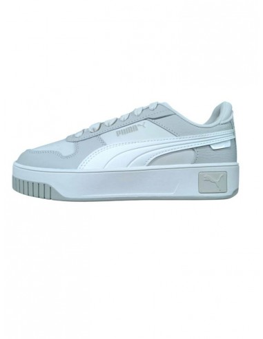 puma  carina street animal alpine snow