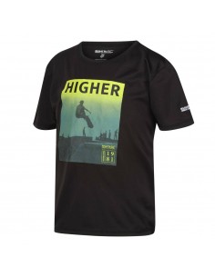 Regatta-Alvarado VII-800