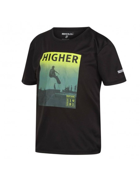 Regatta-Alvarado VII-800