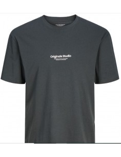Camiseta JACK & JONES JORVESTERBRO TEE SS 12240121 GRIS Gris 2