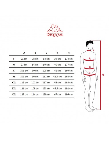 CAMISETA HOMBRE KAPPA LOGO FACCIA