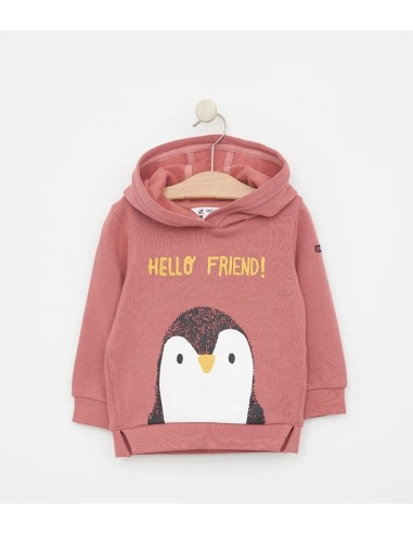 SUDADERA DE BEBÉ CON CAPUCHA BATELA ESTAMPADO PINGÜINO